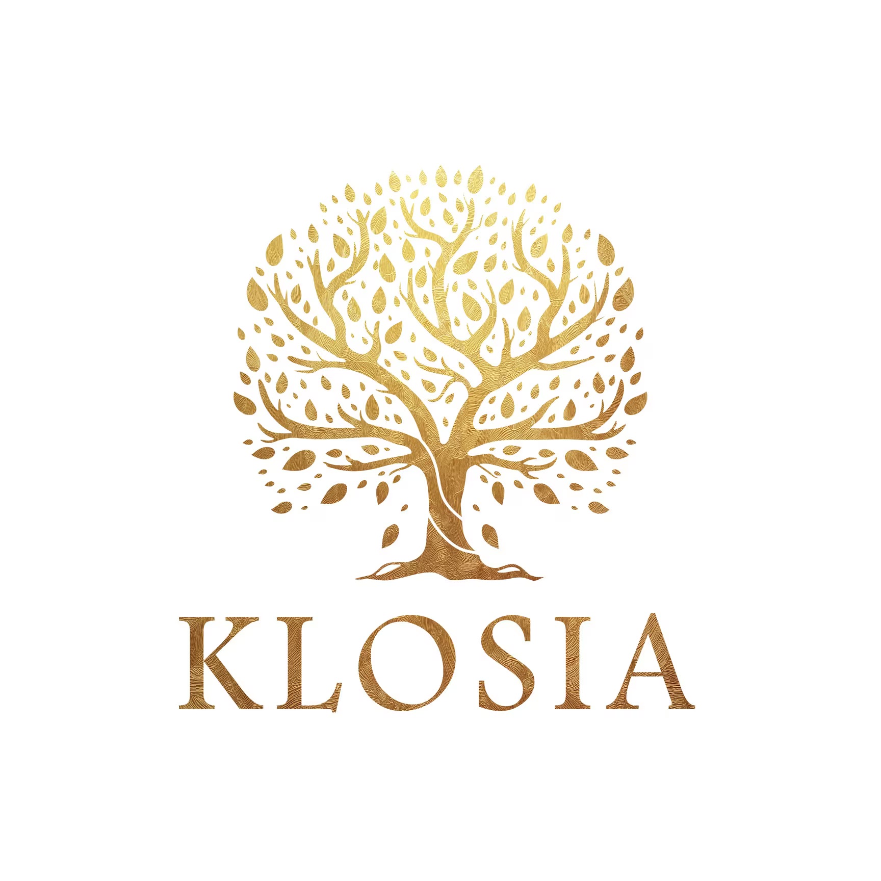 Klosia ecommerce seller TrackVid VMS